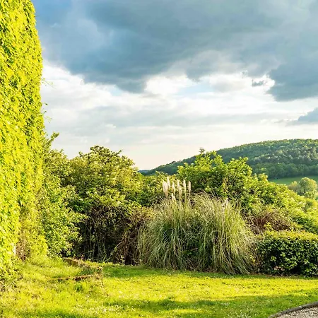 Konukevi D'hotes La Bastide Puycalvel Lautrec