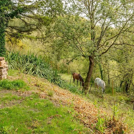 D'hotes La Bastide *